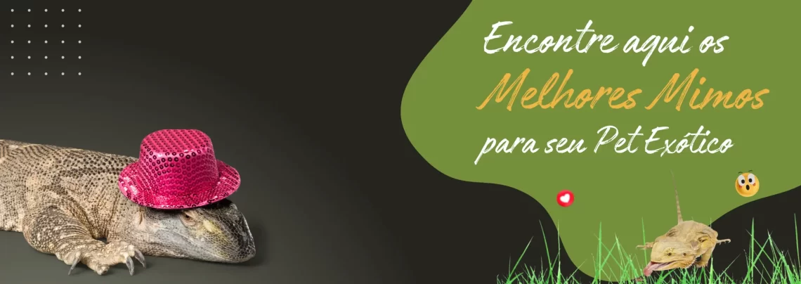 encontre-aqui-os-melhores-mimos