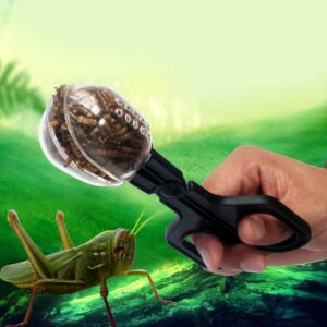 Pinça Transparente para Coleta de insetos